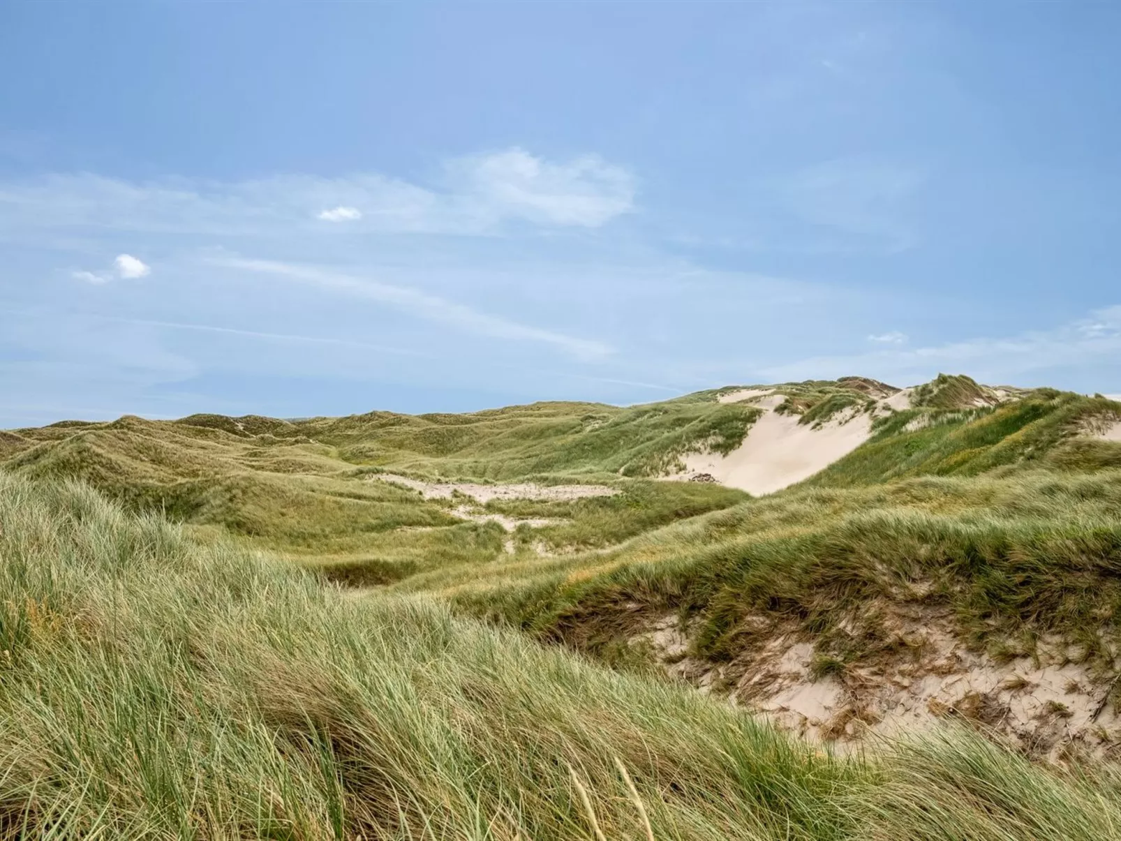 "Aurelie" -  from the sea-Buiten