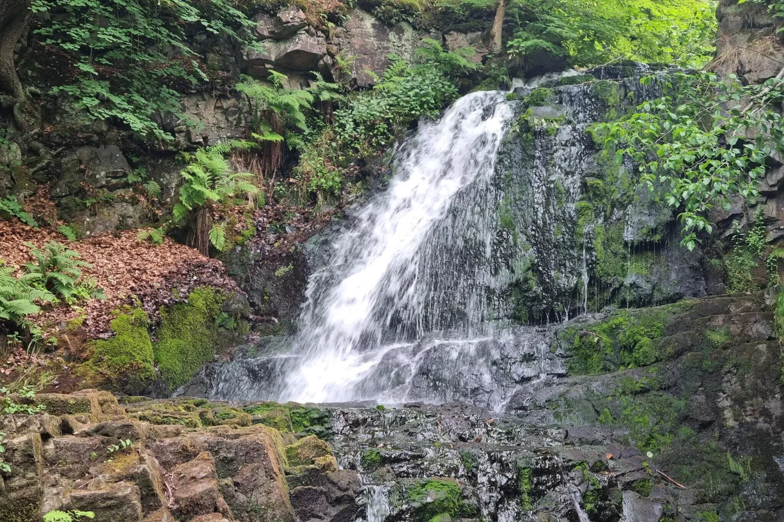 4 sterren vakantie huis in Gärsnäs-Waterzicht