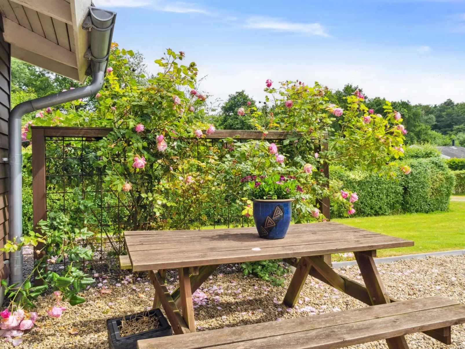 "Telli" - 350m from the sea-Buiten