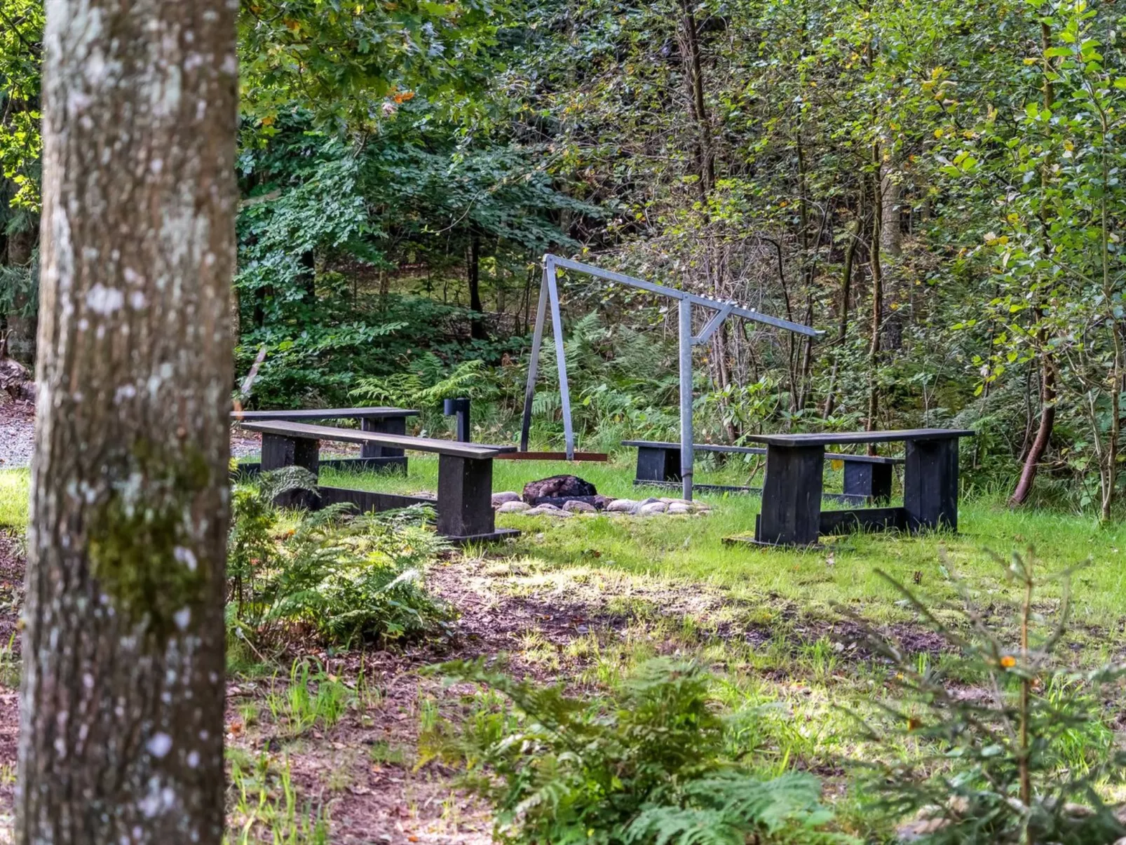 "Vicente" - 14km to the fjord-Buiten