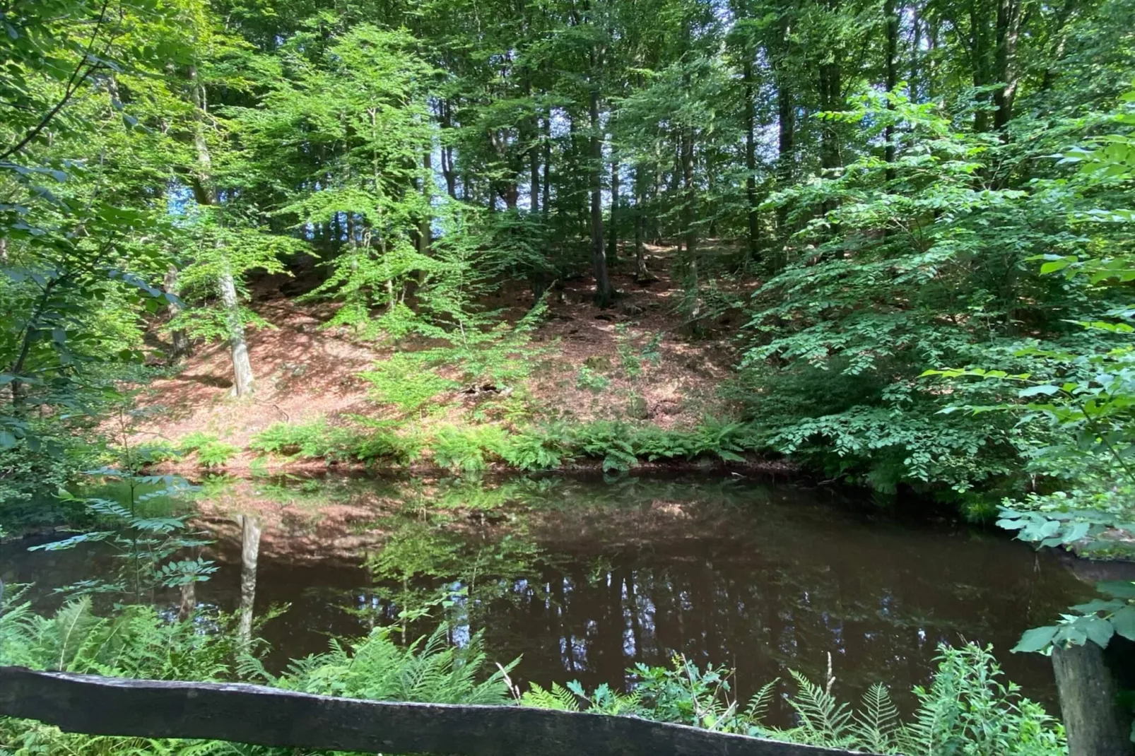 4 persoons vakantiehuis in Hoor-Waterzicht