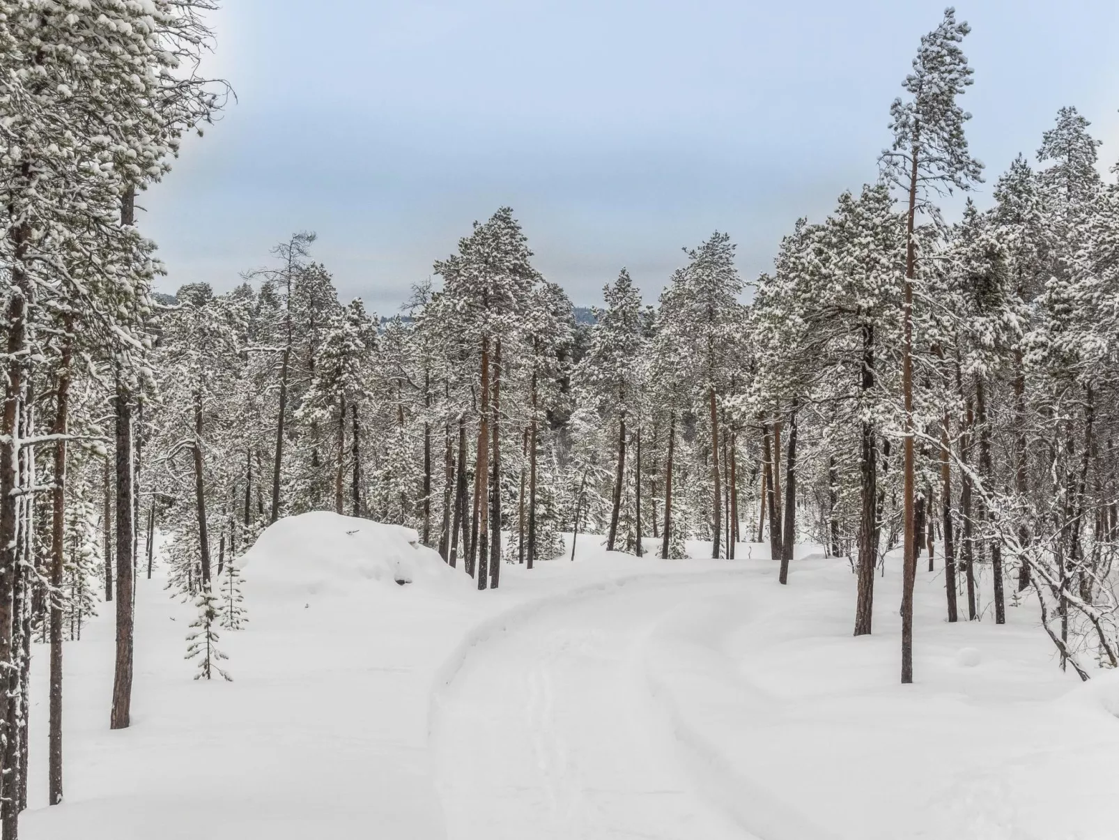 Villa paadari apartment-Binnen