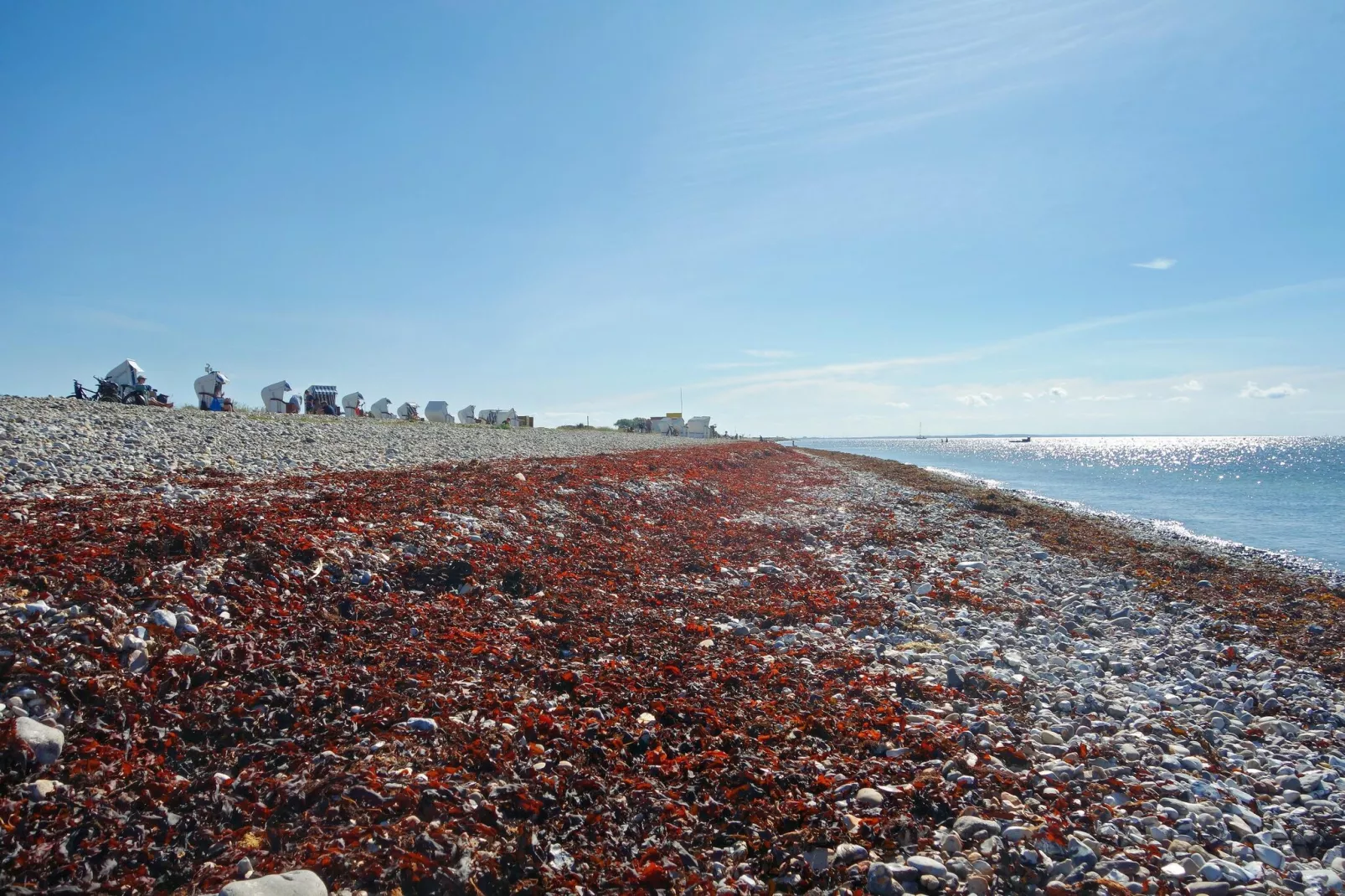 Ferienhaus Petersdorf 6 P-Gebieden zomer 5km