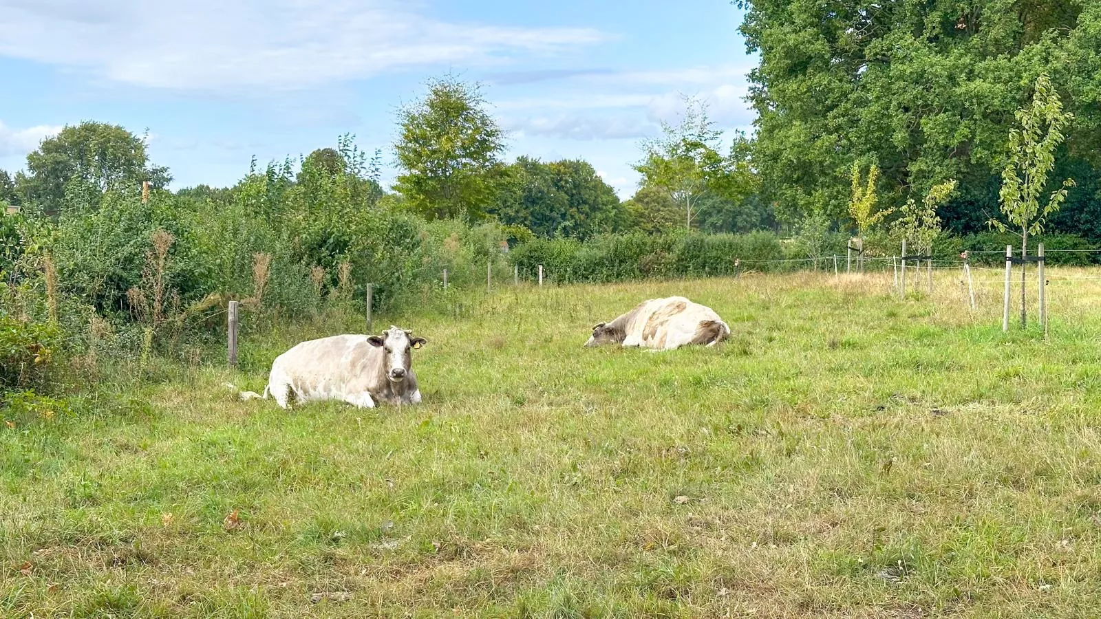 Het Bunt-Uitzicht zomer