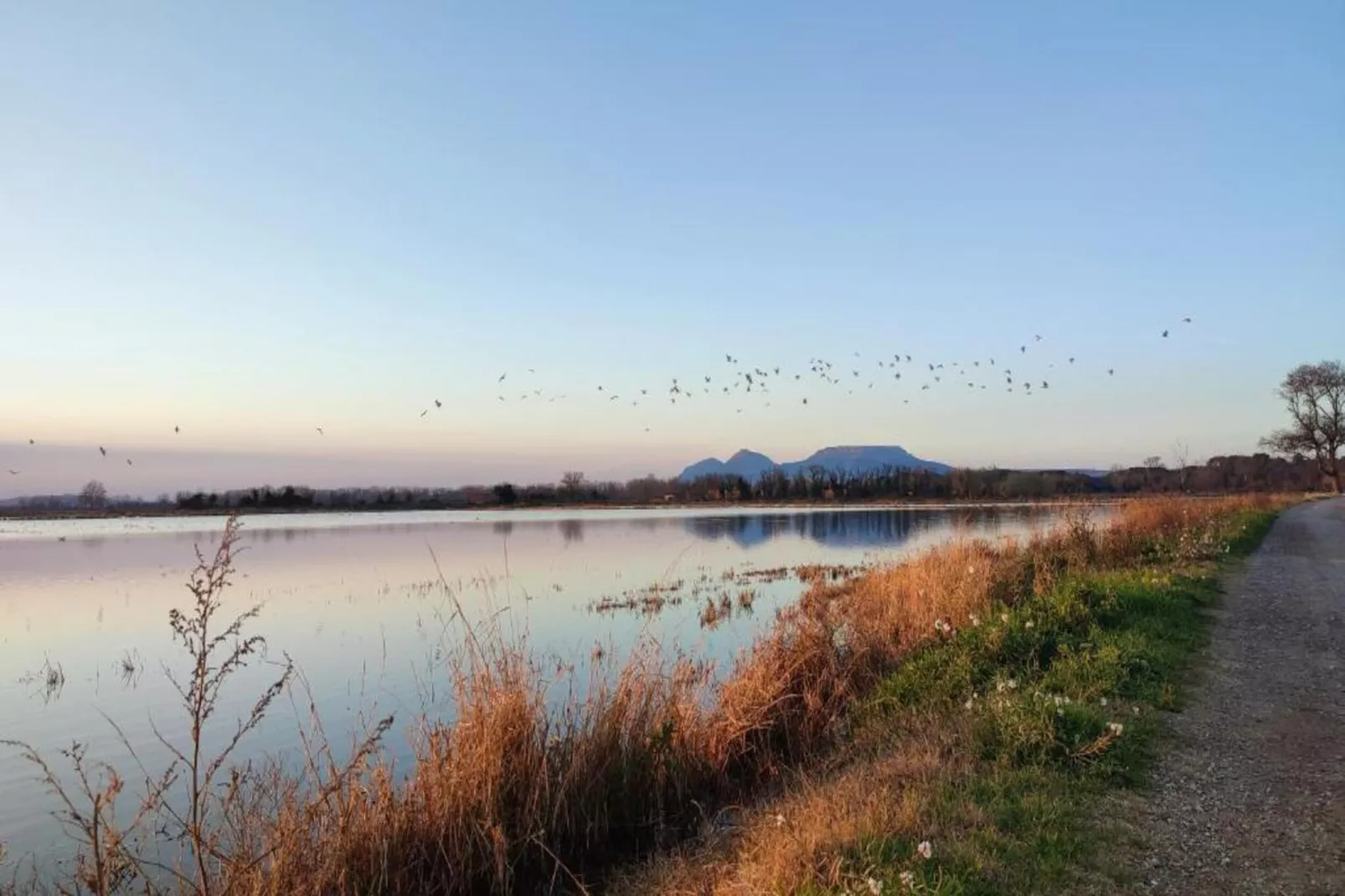 Medas 17-Gebieden zomer 5km