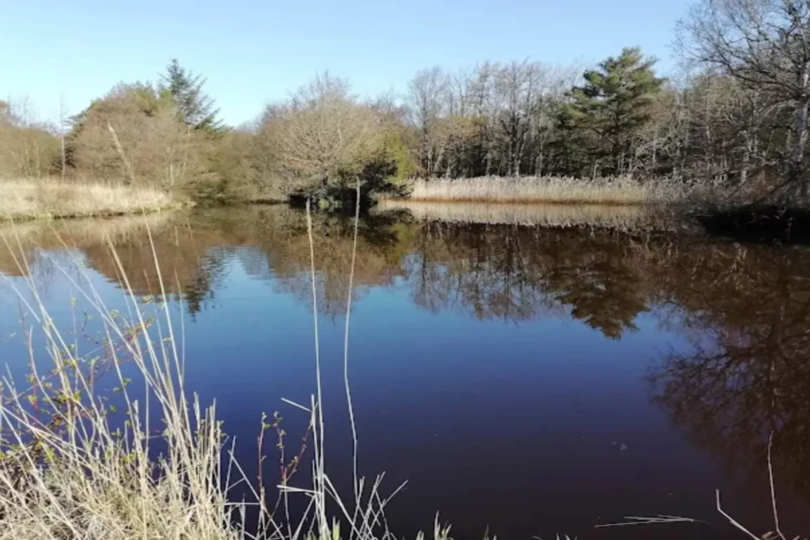 4 sterren vakantie huis in Ålbæk-Waterzicht