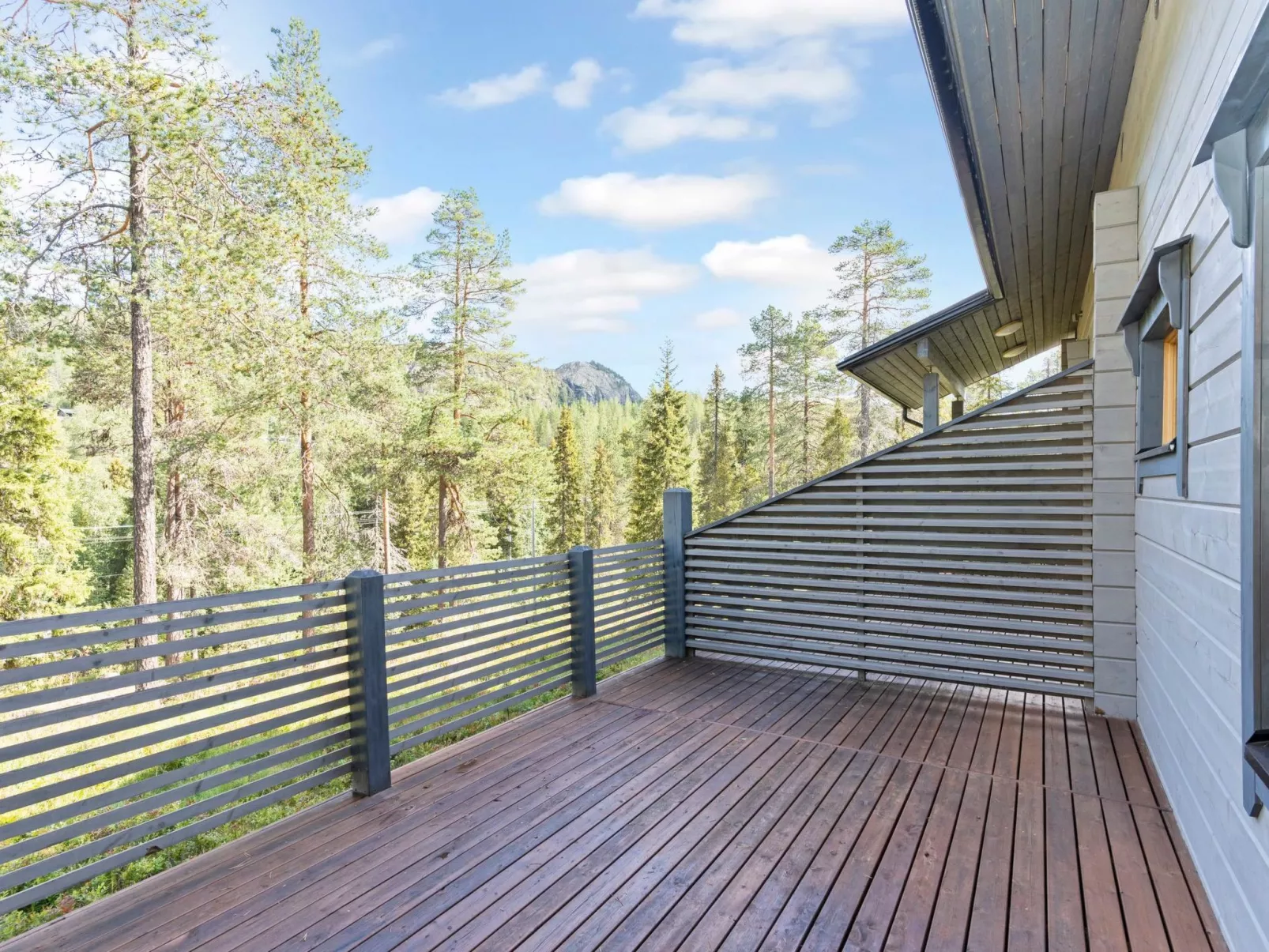 Rukan sarastus-Binnen