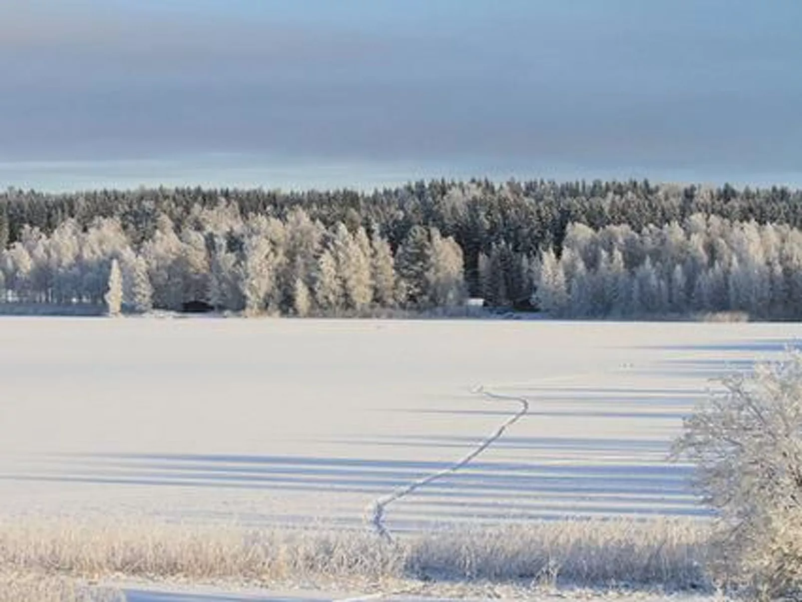 Kopinkallio 3-Binnen
