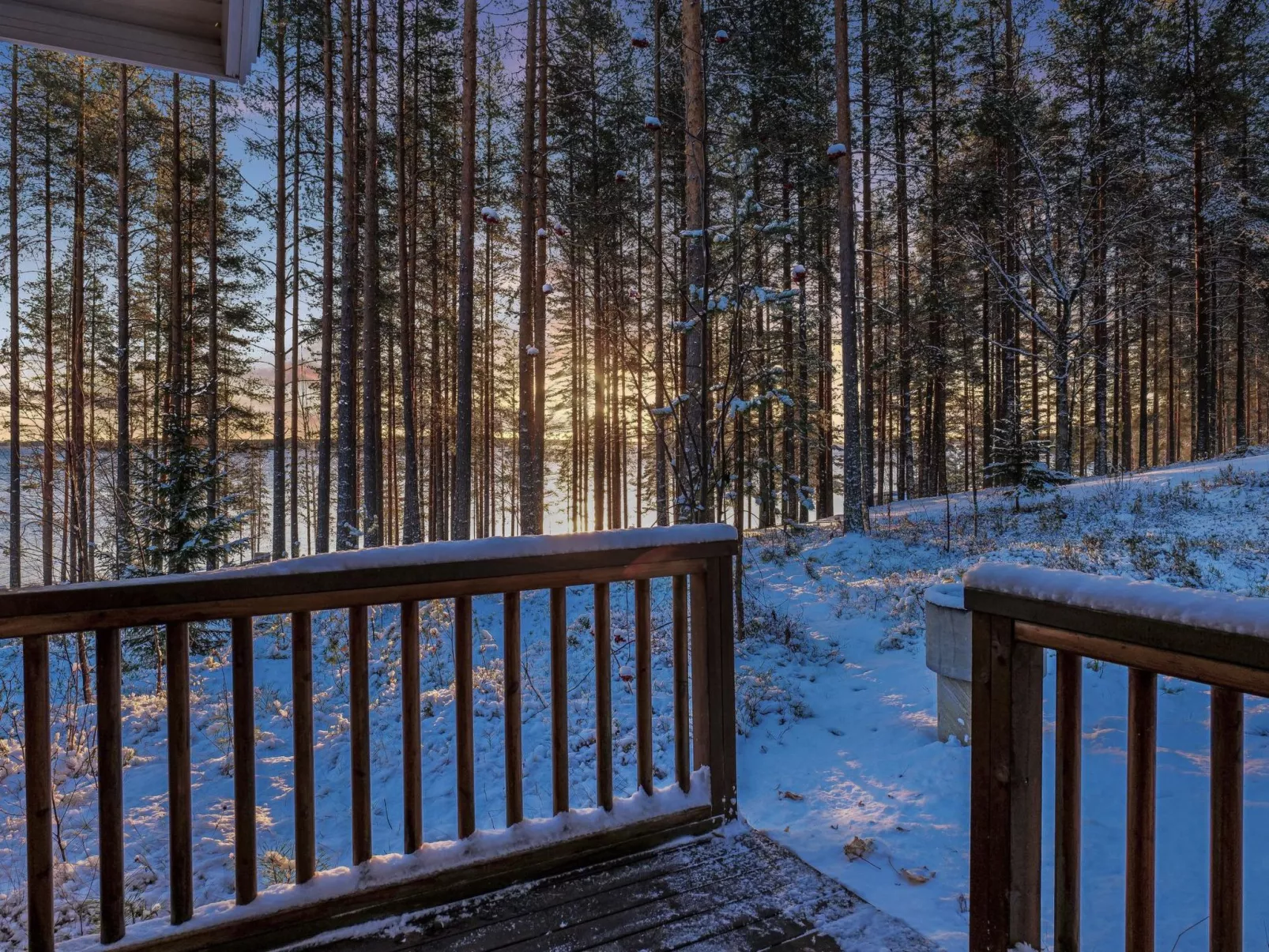 Kolin vernetti 1-Binnen