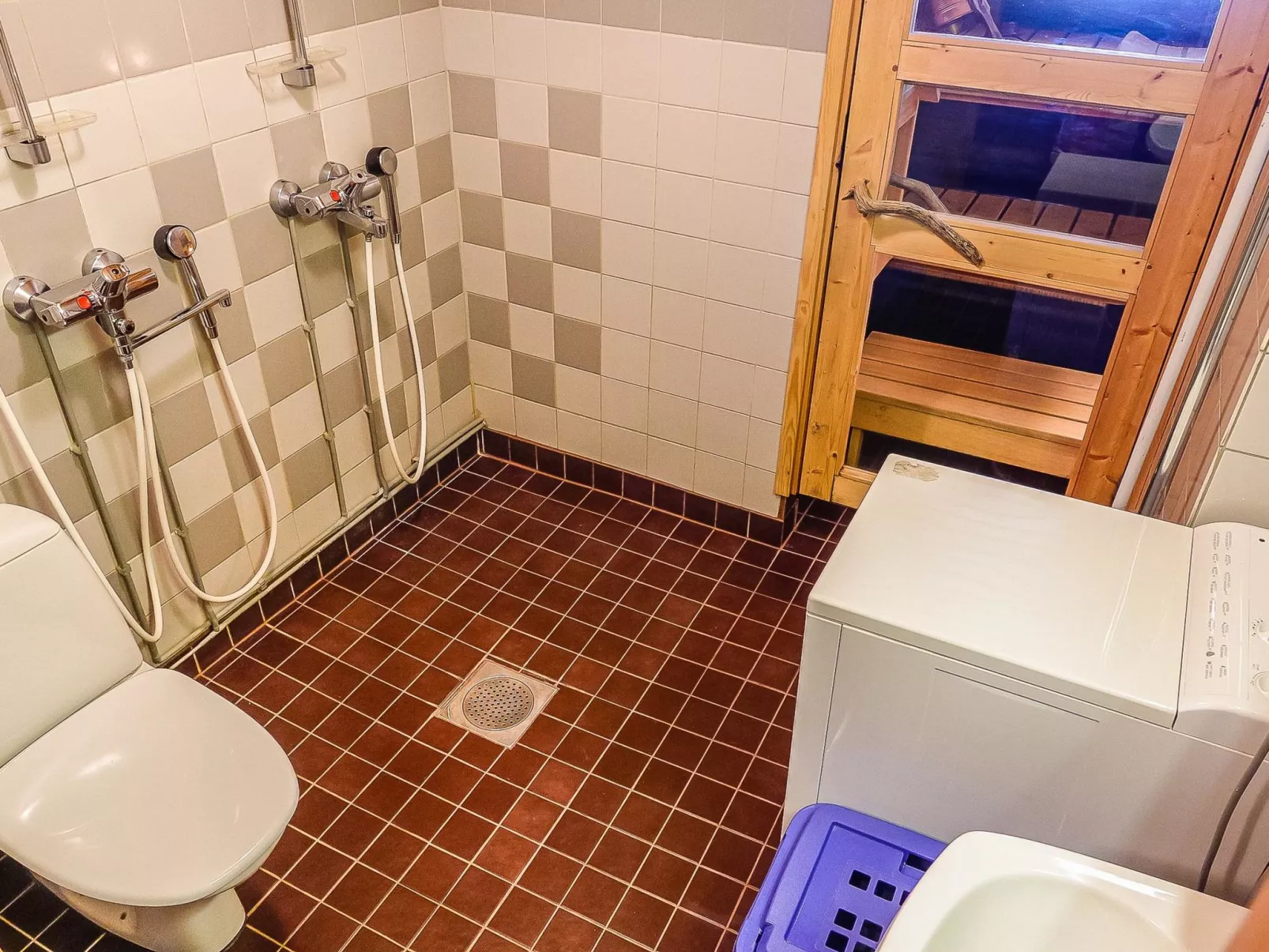 Sallanhelmi e2-Binnen