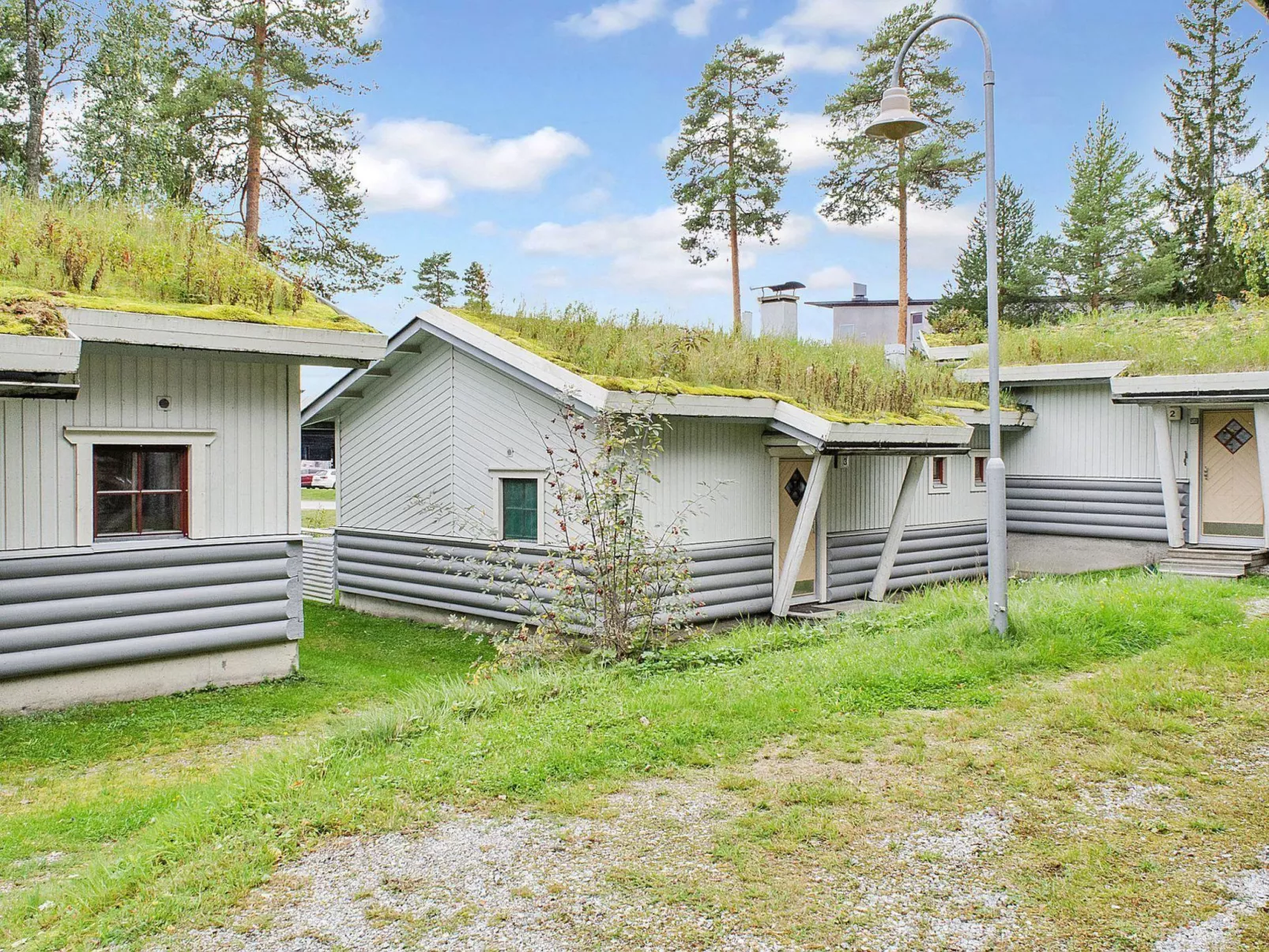 Kulta-käkönen 3 by bomba-Binnen