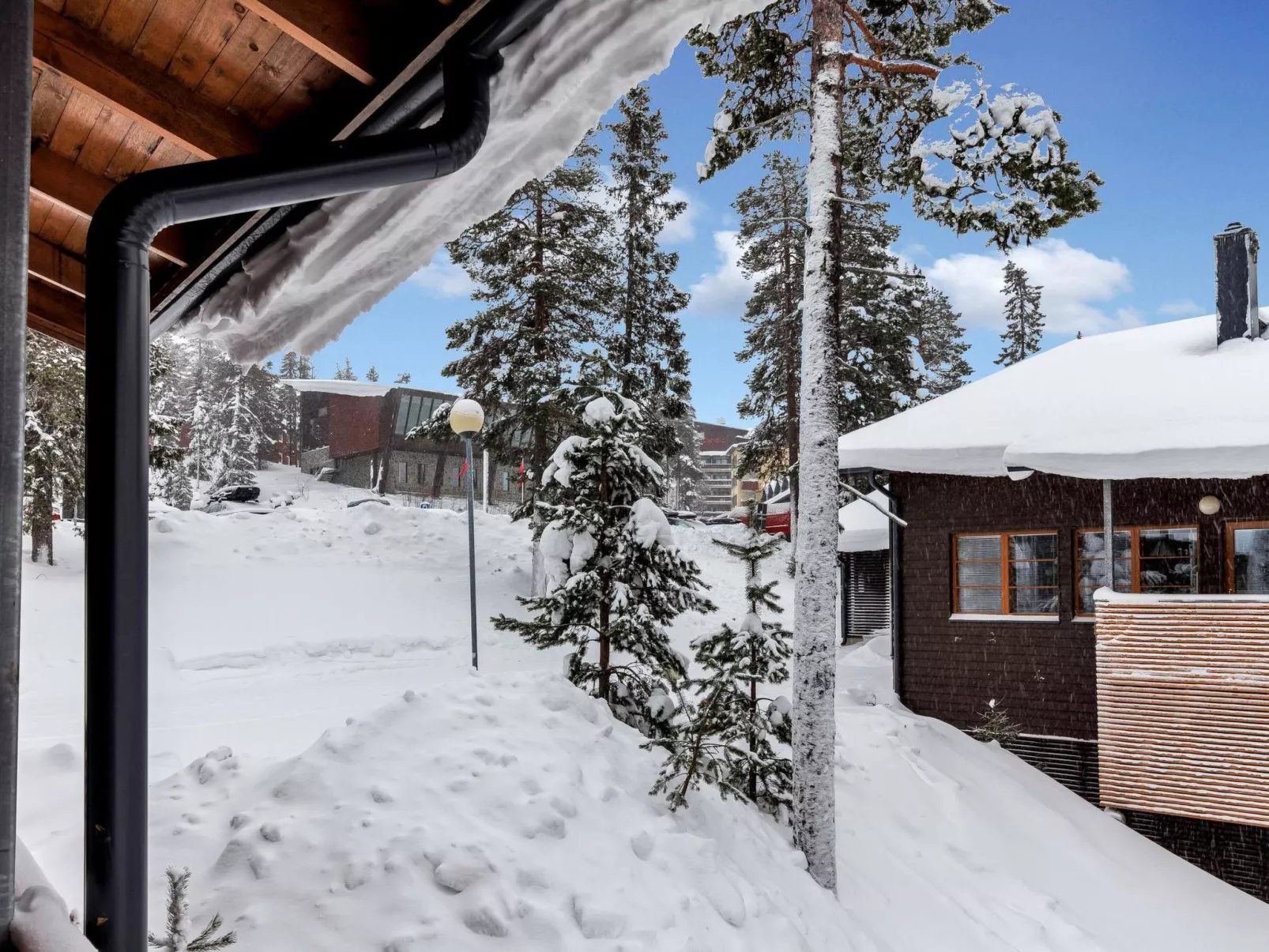 Kesä-iikka 4-Binnen