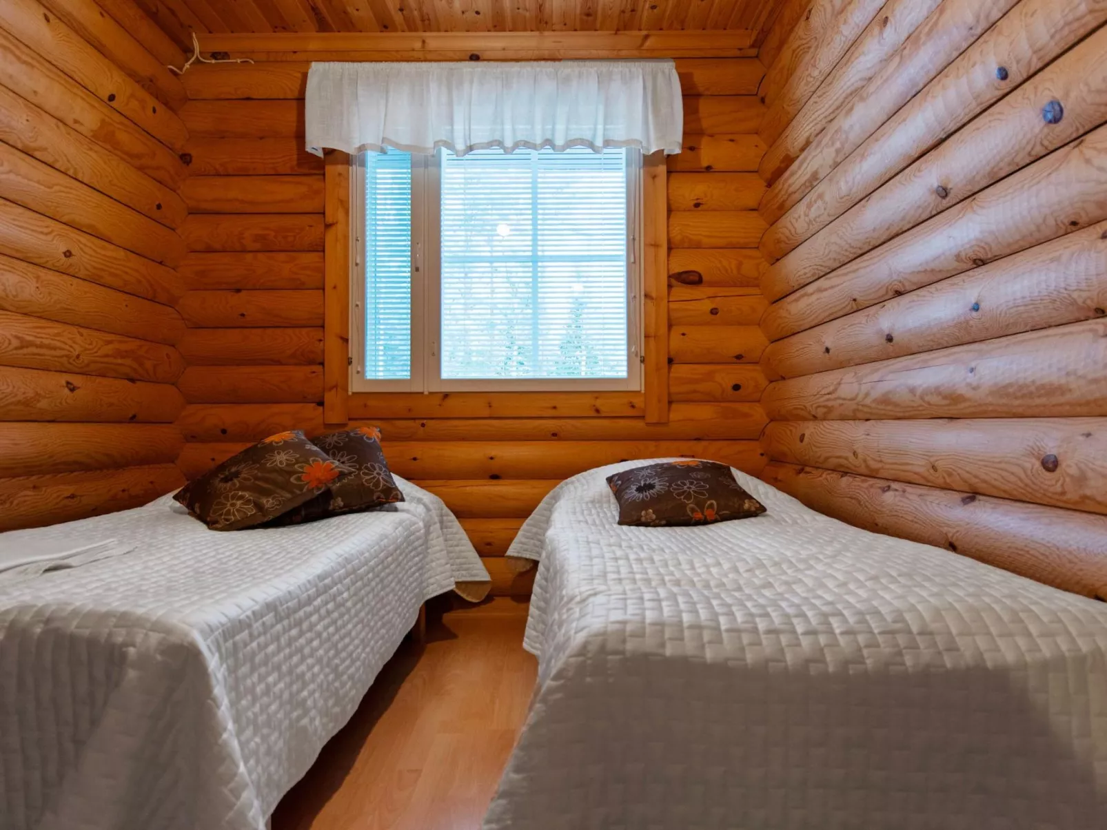 Kilpolan orvokki-Binnen