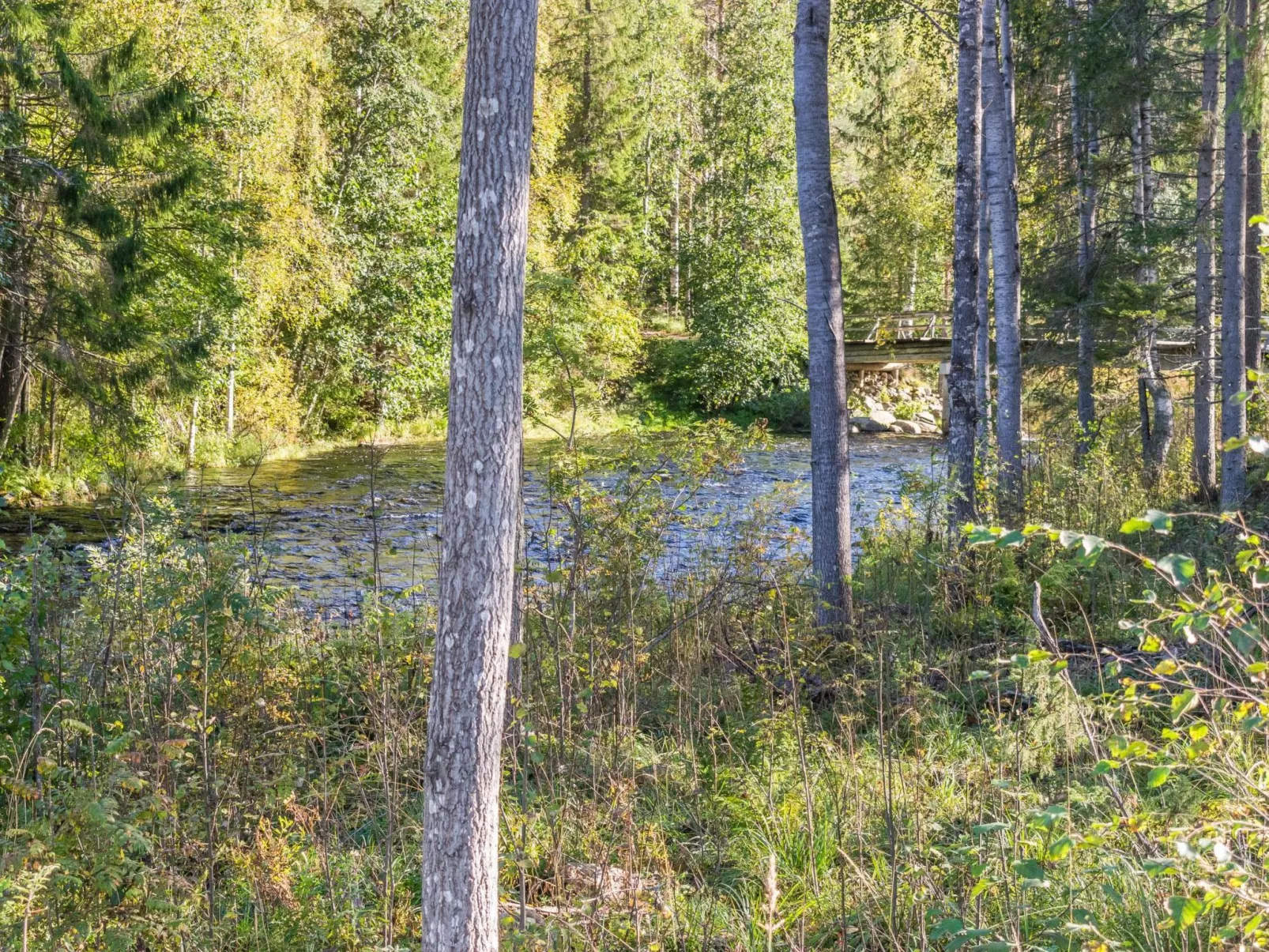 Koskisaari, vaikon loma 2-Binnen