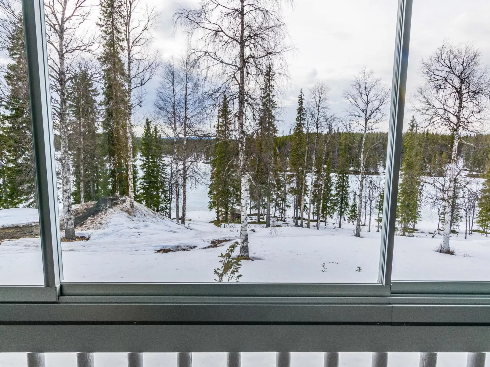 Mestarikämpät b10-Binnen