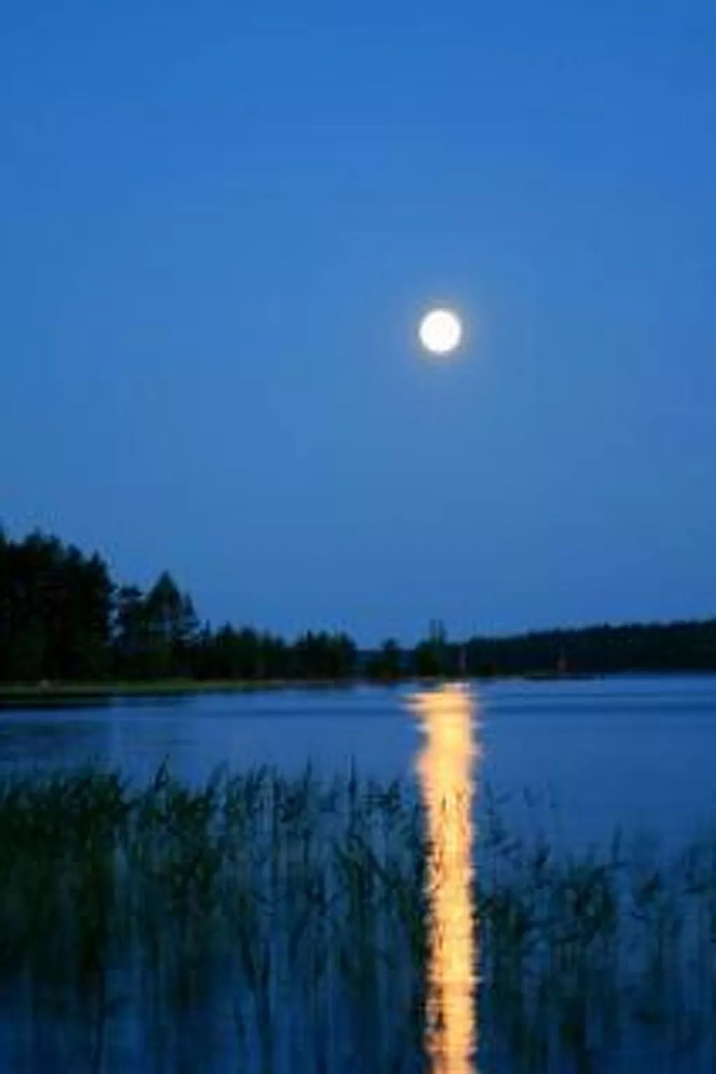 Korvenvalkama-Binnen