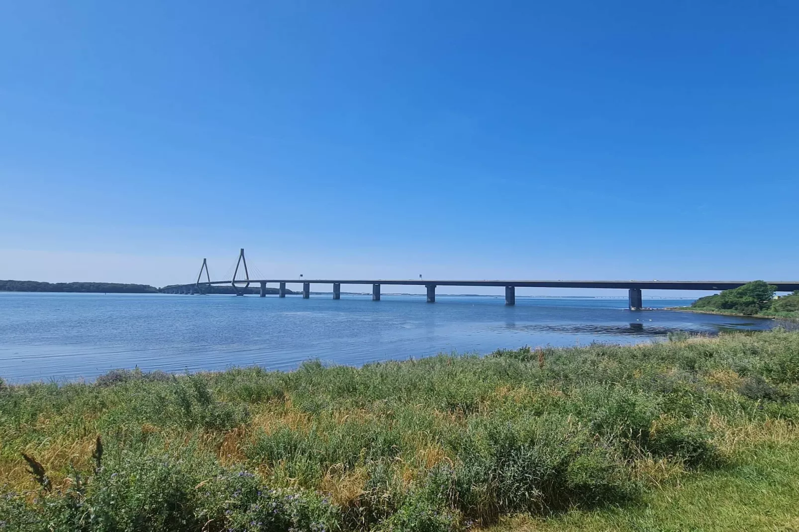 6 persoons vakantie huis in Bogø By-Waterzicht