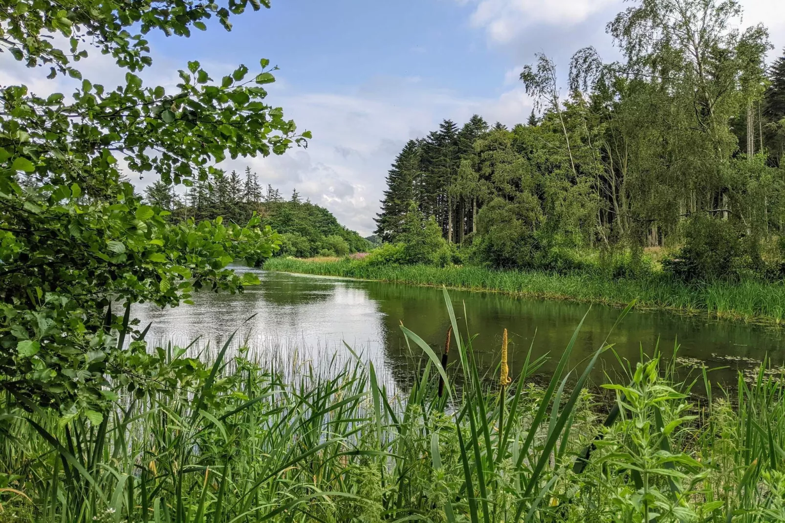 4 sterren vakantie huis in Brønderslev-Waterzicht