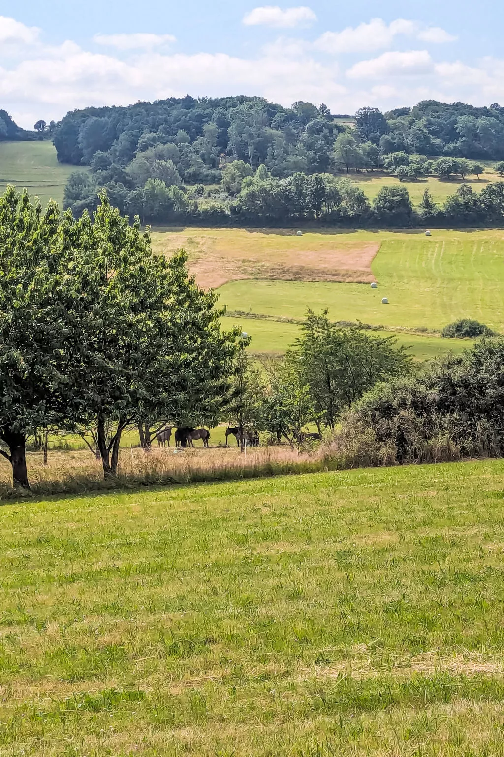 Am Sternberg 115-Buiten