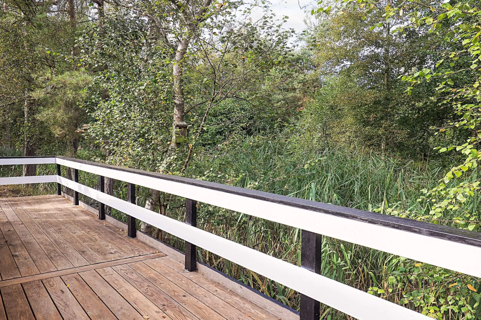 6 Personen vakantie huis in Stege-Buitenlucht