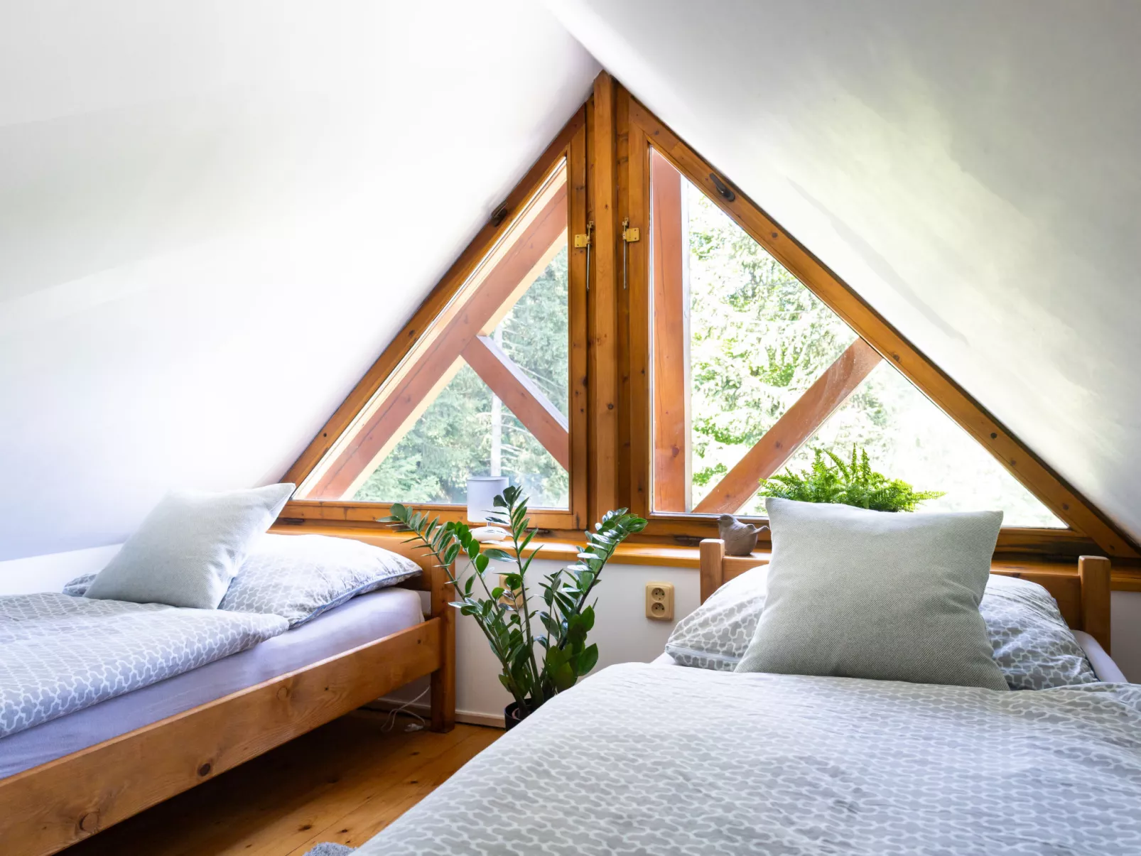 Sachrův Kopec-Binnen