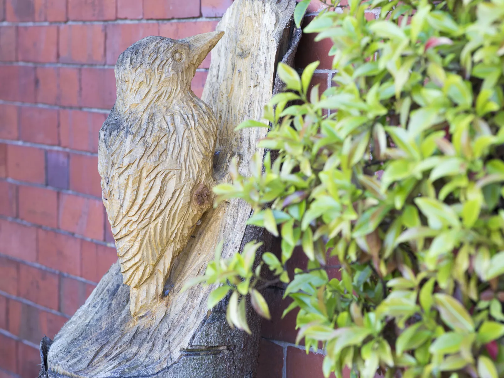 Woodpecker Cottage-Buiten