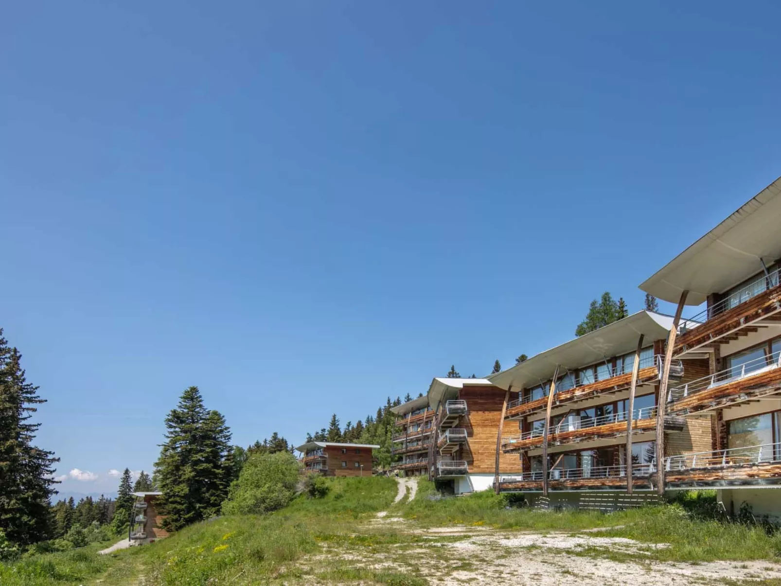 V du Bachat Asters B-Buiten