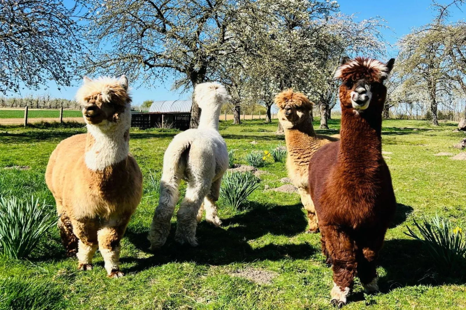 Arends nest-Faciliteiten