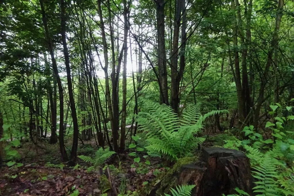 428685 - Niet-getagd