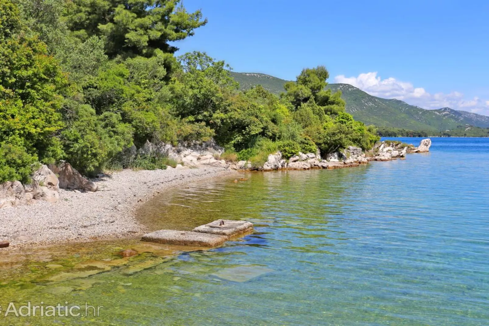 Four bedroom apartment-Sfeer