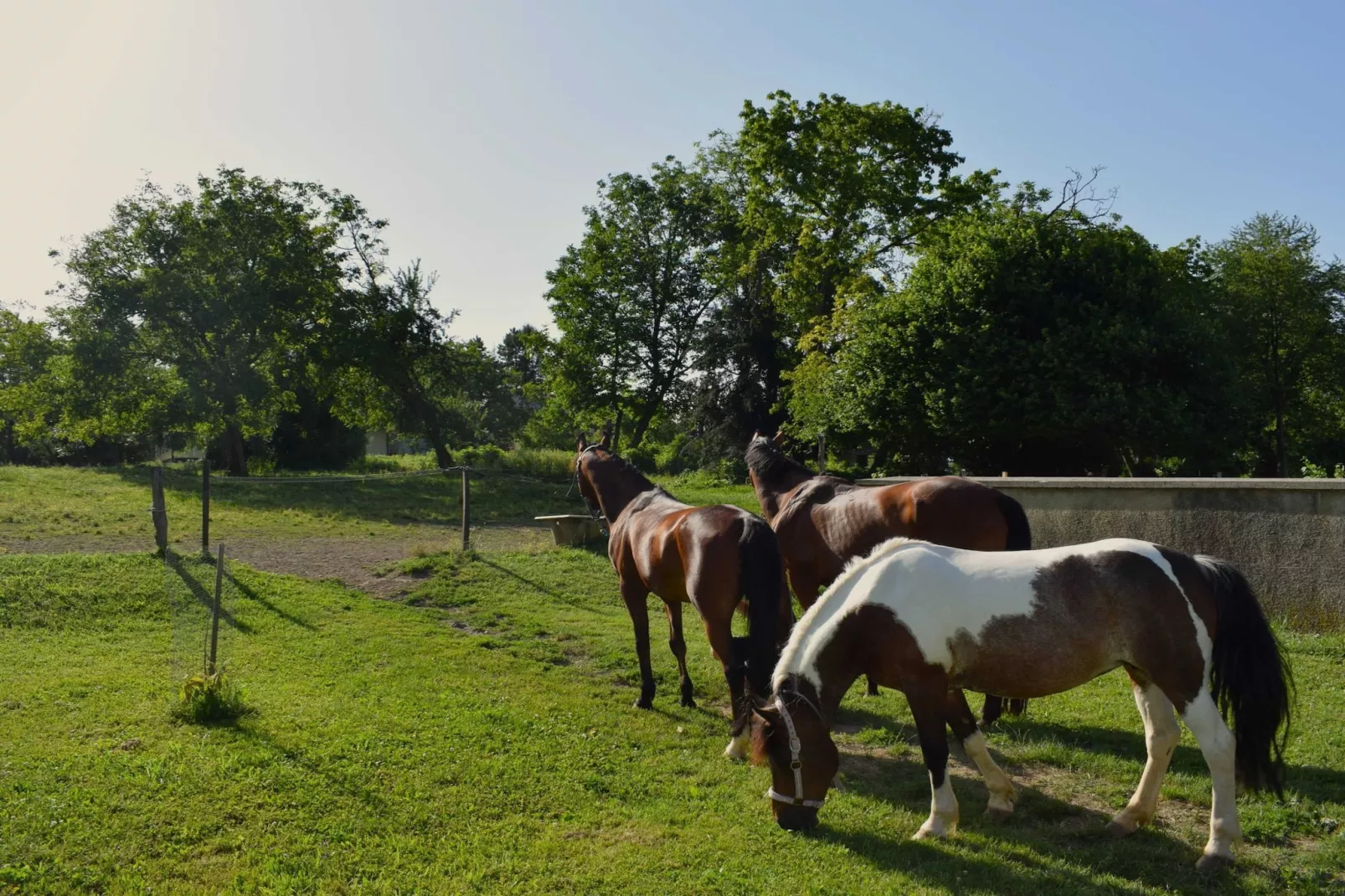Zevnik Quiet Retreat with Stunning Views and Equestrian Activities - Triple Room with Private  Bathroom-Buitenlucht