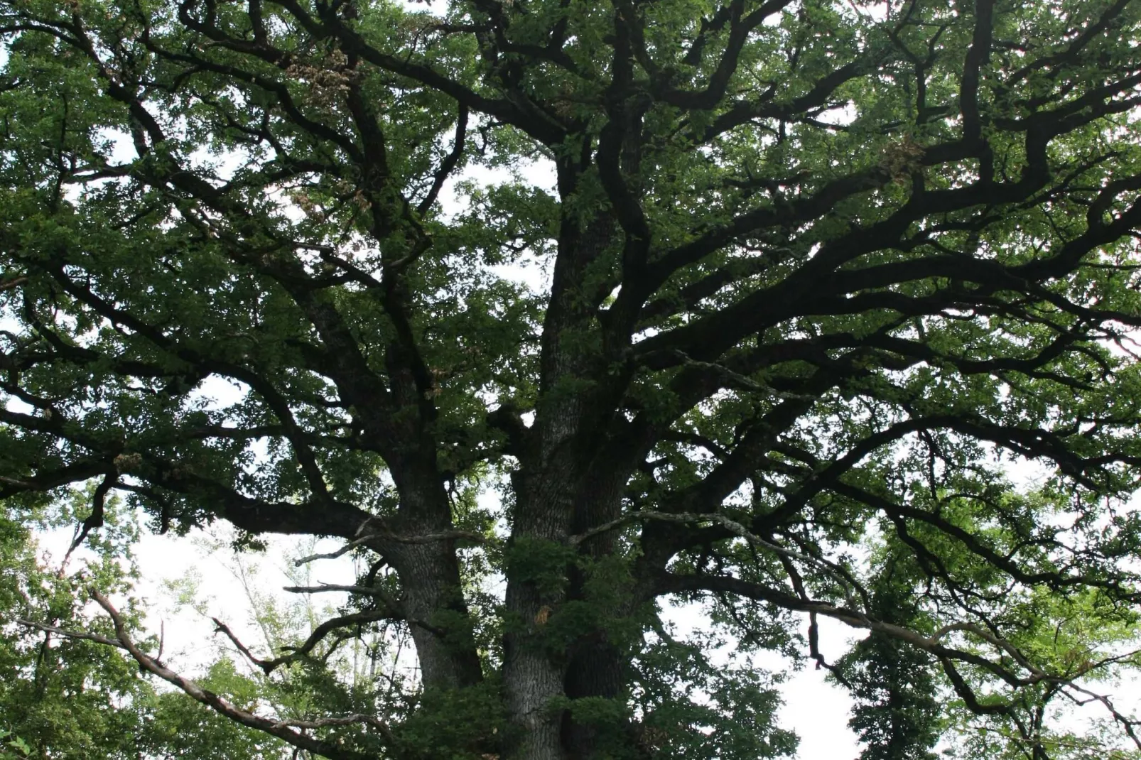 Abitanti Rustic Apartment with Balcony - Two Bedroom Apartment with Balcony-Buitenlucht