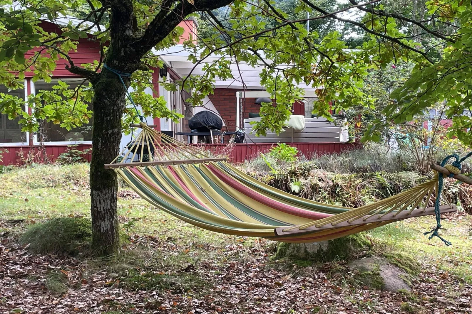 Charmante cottage aan het meer met sauna-Buitenlucht