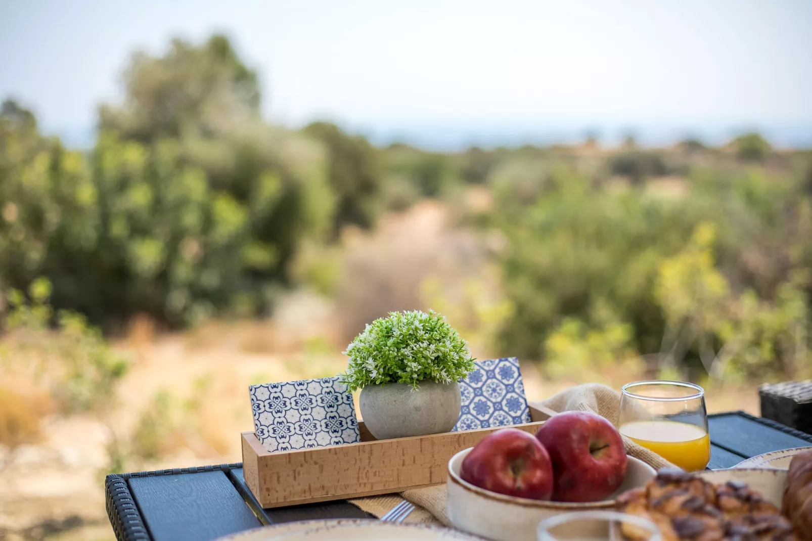 EMARMENE AGROTOURISTIC-Sfeer