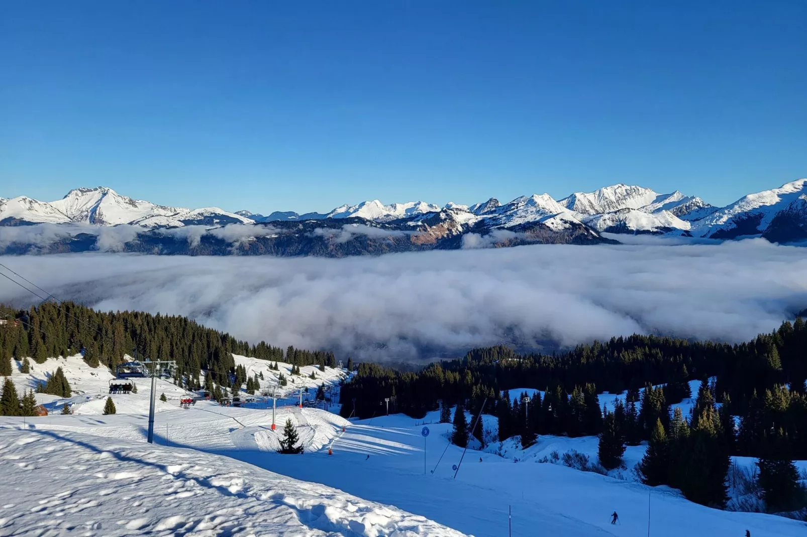 Jardins Alpins A N°20 - 2P6 - Gebied winter 20km