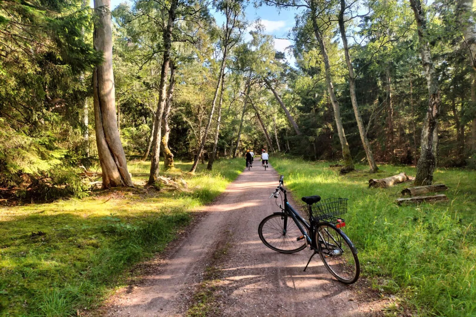 5 sterren vakantie huis in Frederiksværk-Niet-getagd