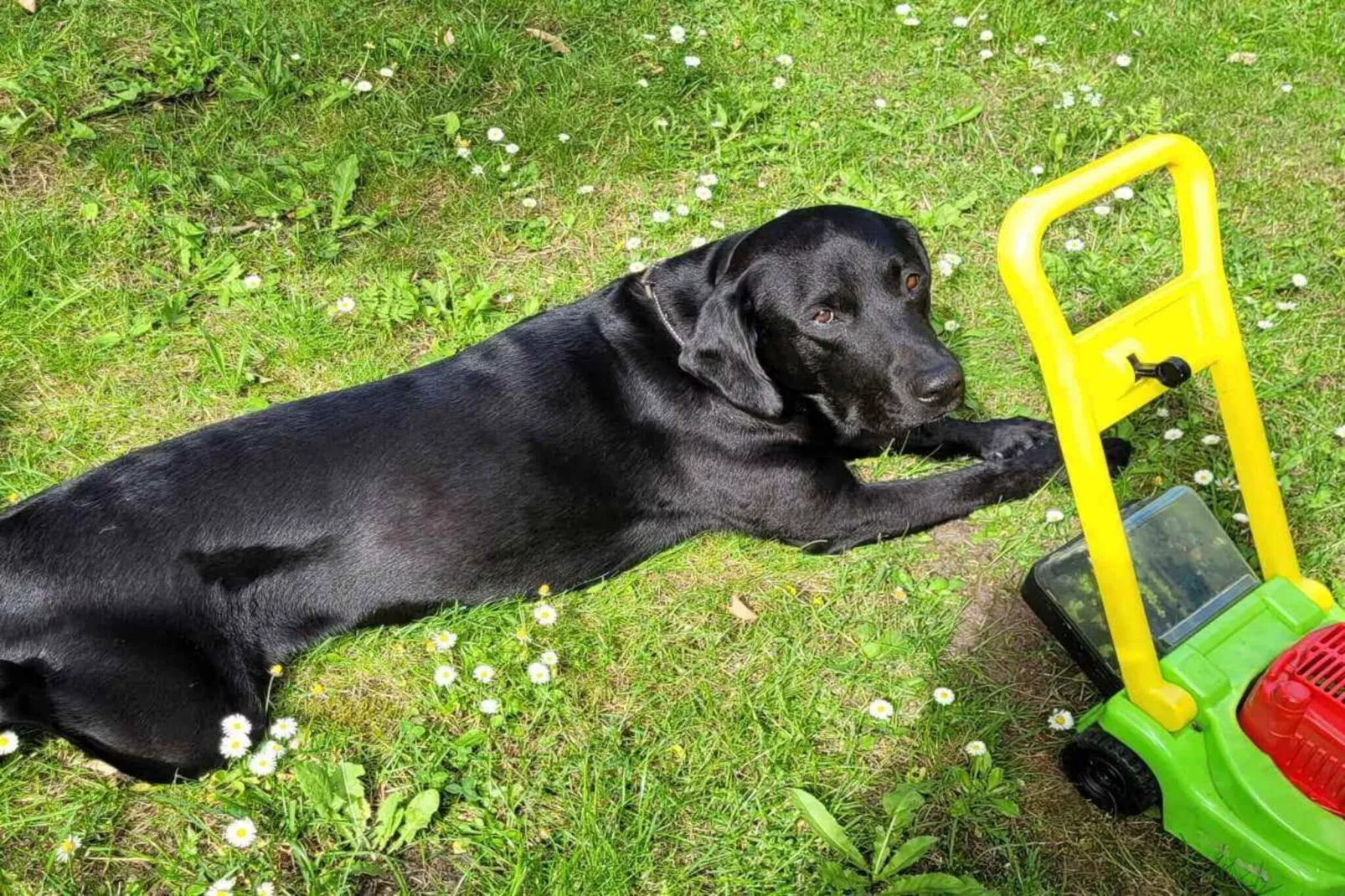 5 sterren vakantie huis in Østermarie-Niet-getagd