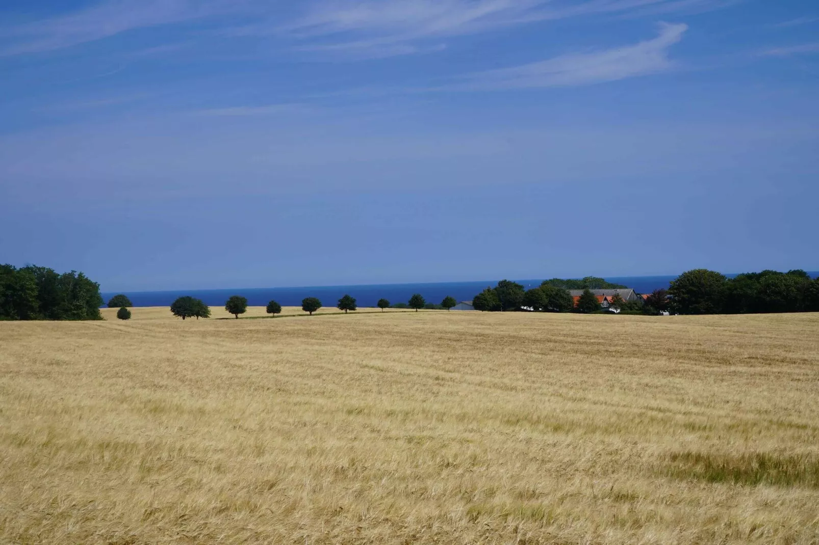 5 sterren vakantie huis in Allinge-Buitenlucht