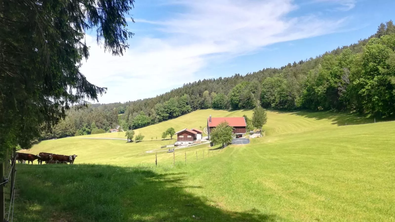 Berghof-Buitenkant zomer
