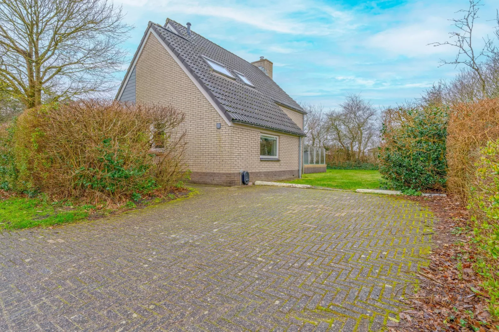 Kamperfoelie 33-Buitenkant zomer