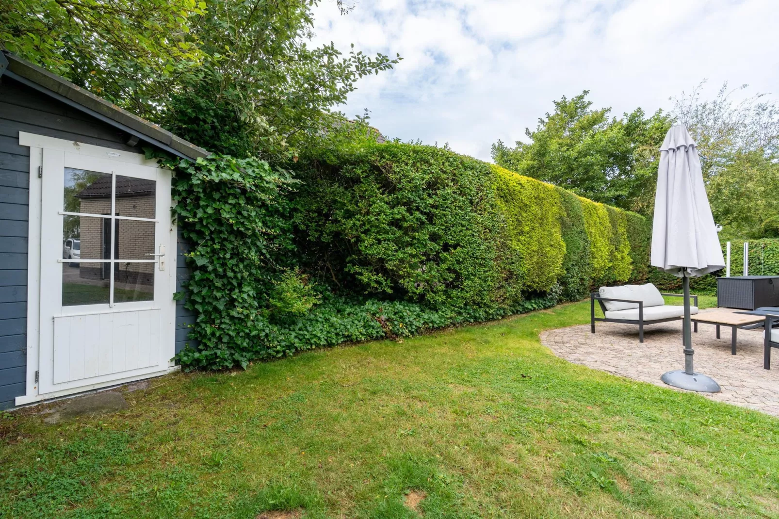 Kamperfoelie 49-Tuinen zomer