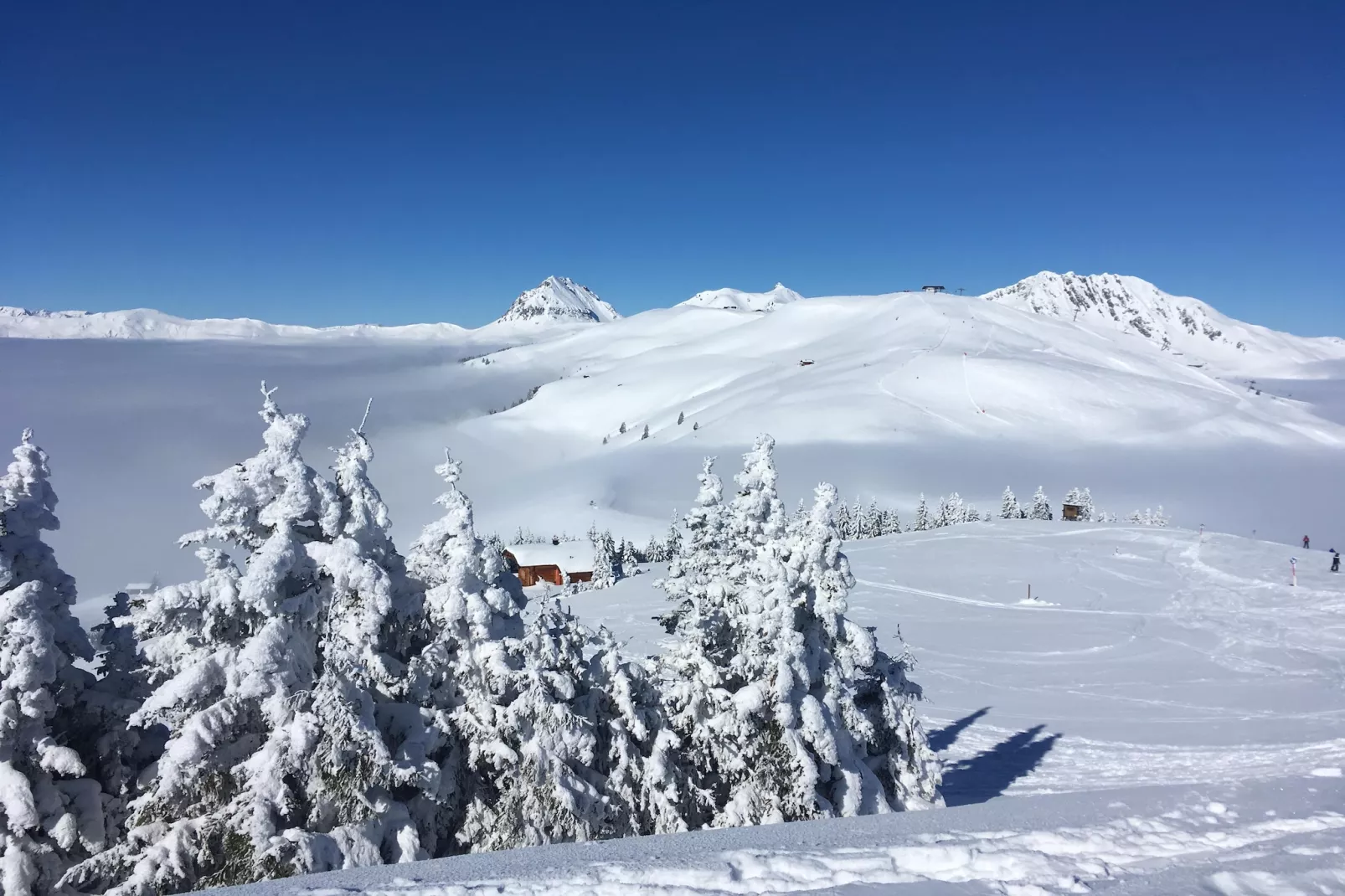 Ferienwohnung Mayrhof-Gebied winter 5km
