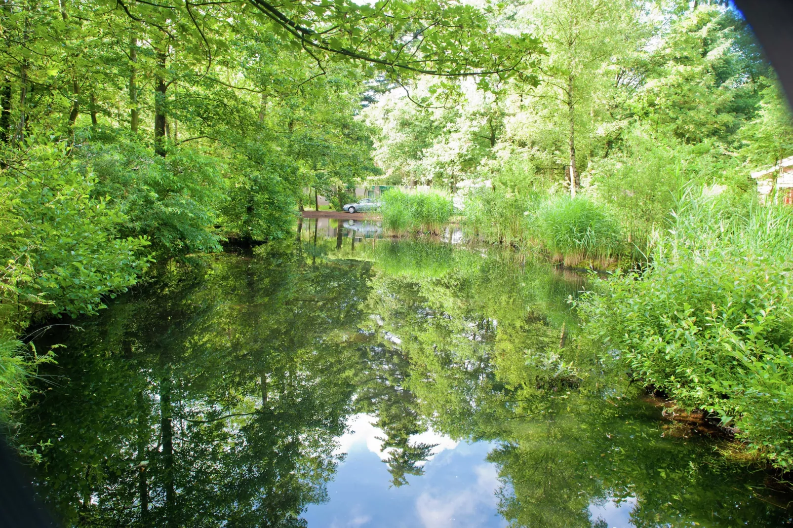 Vakantiepark de Berkenhorst 12 - Gebieden zomer 5km