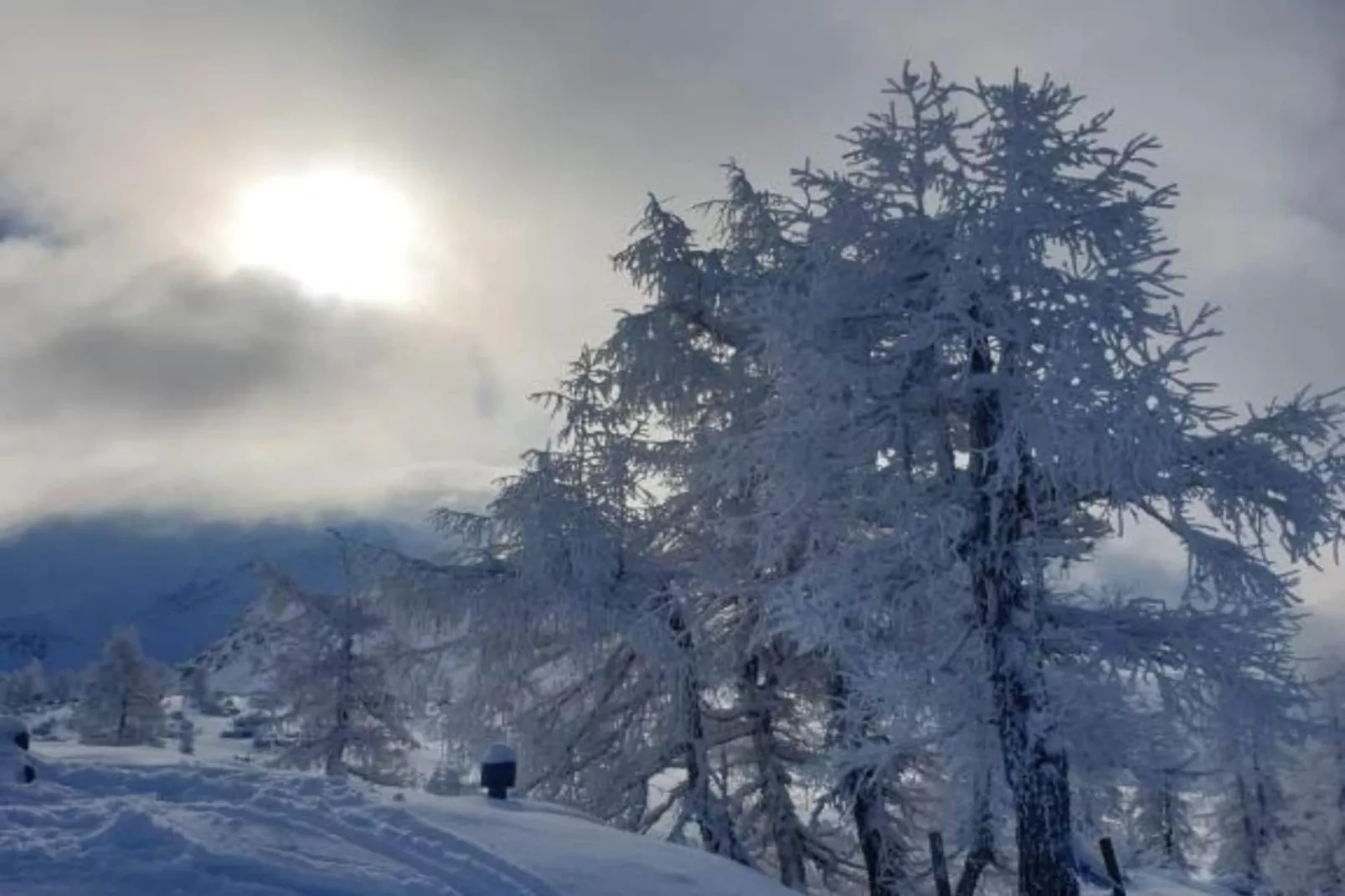 Apartment HAL  - one bedroom apartment-Buitenlucht