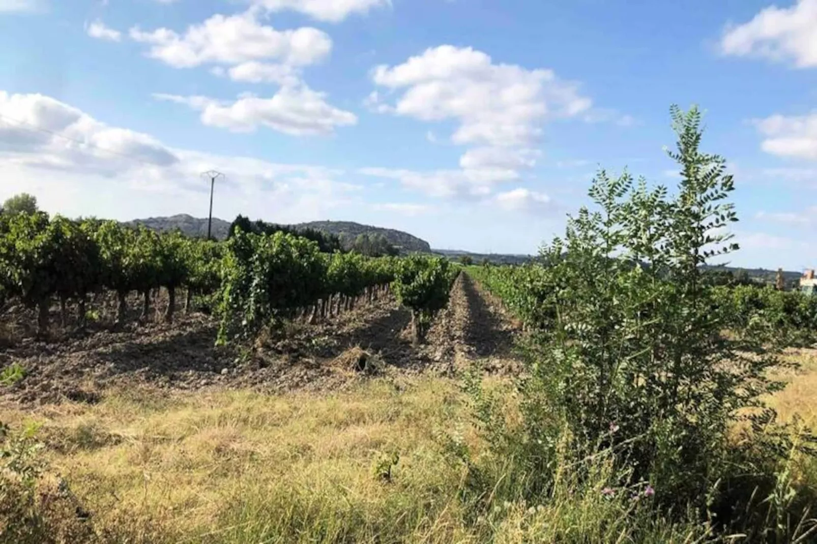 Maison Cosy Lodge, 15 P, Clim, Wifi, Cour, Garage-Niet-getagd