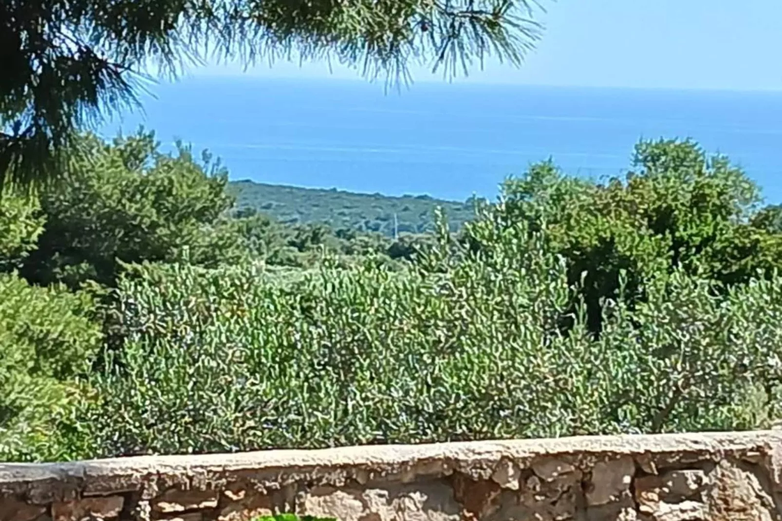 Apartmani Green Oasis - One Bedroom Apartment with Terrace and Sea View