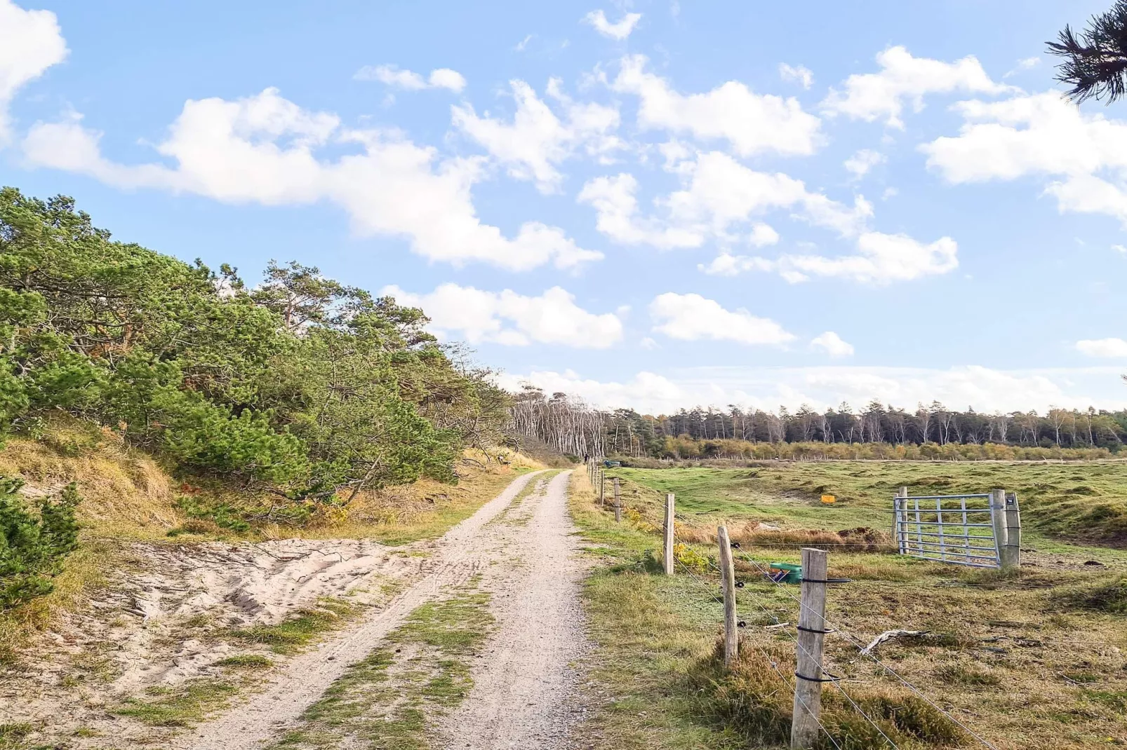 8 persoons vakantie huis in Frederiksværk-Uitzicht
