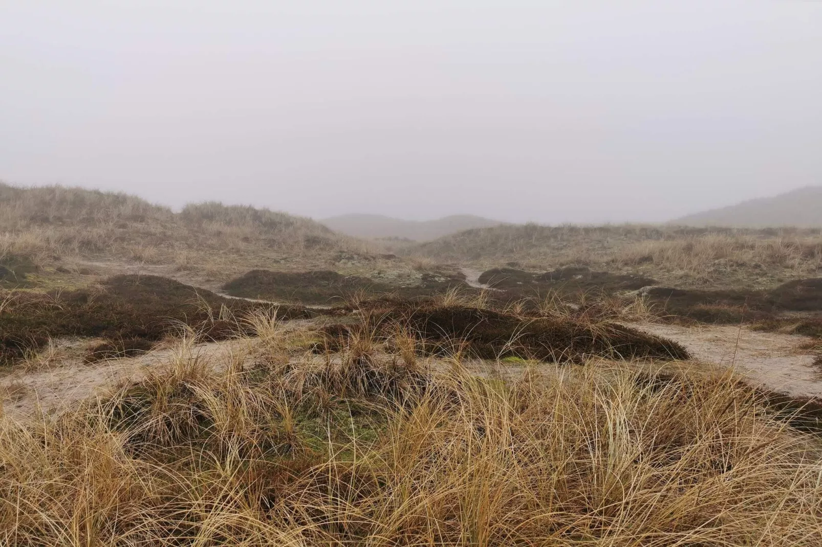 6 persoons vakantie huis in Ringkøbing-Niet-getagd