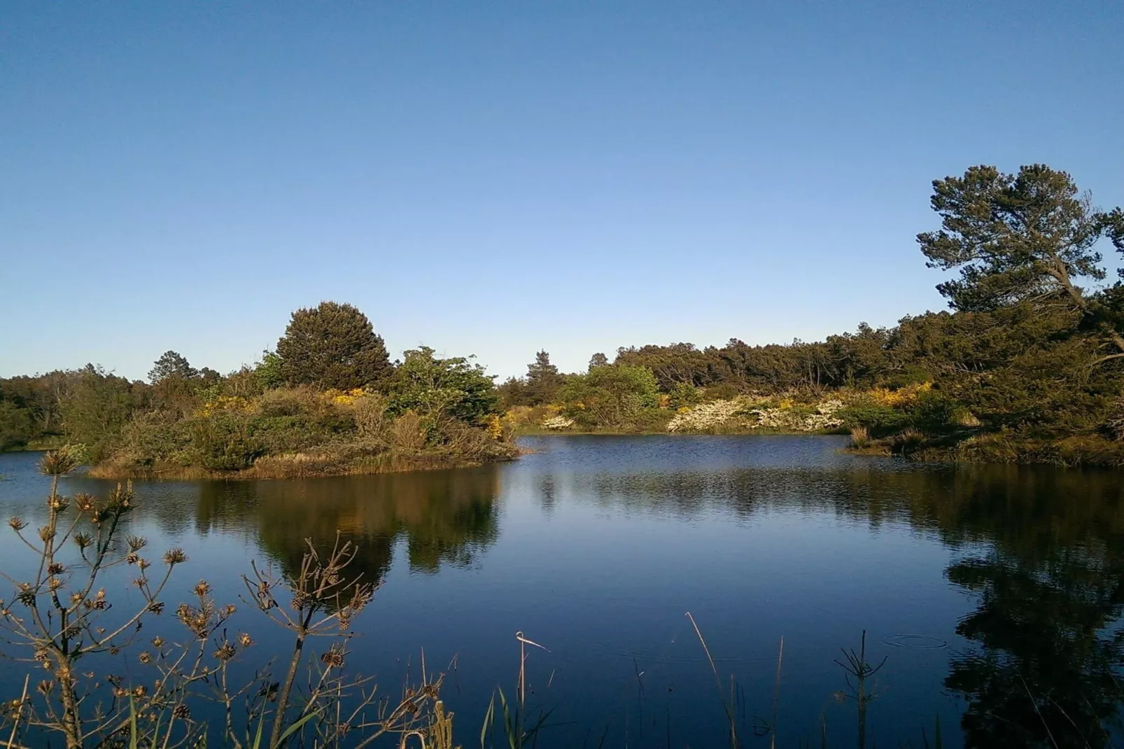 8 persoons vakantie huis in Ålbæk-Waterzicht