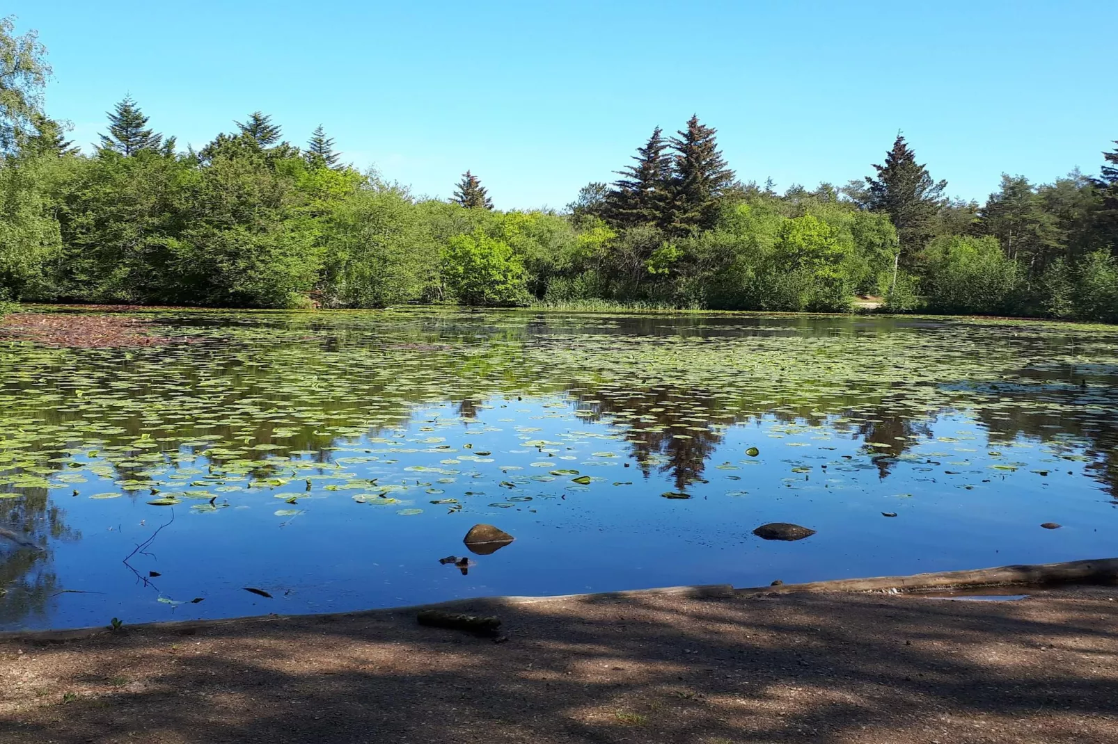 6 persoons vakantie huis in Bindslev-Waterzicht